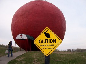 大きな赤い丸い球体の前に立つウサギ注意のかんばん